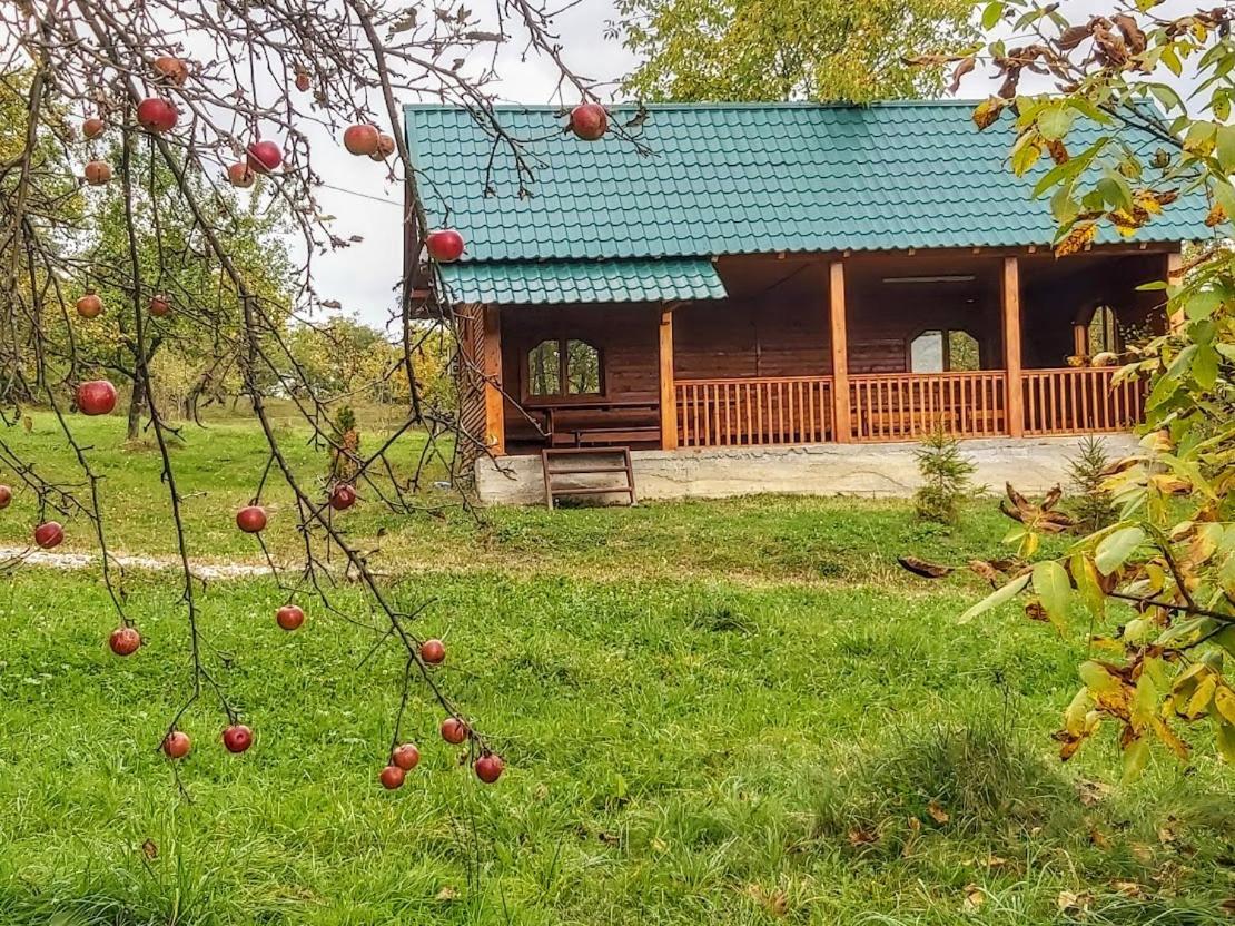 Pensiunea Agroturistica Piscul Soarelui Campulung Exterior photo